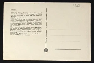 INDIAS HOLANDESAS - BORNEO 1947 aprox. PPC - MAPA DE BORNEO - EN MUY BUEN ESTADO  - Imagen 1 de 2