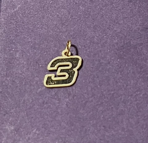 14k Dale Earnhardt Sr #3 NASCAR Yellow Gold Necklace Pendant/Charm Cover