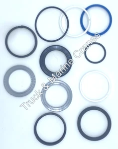 BONFIGLIOLI BONFIG CRANE P10200L LEG REBUILD SPARES PARTS HYDRAULIC SEALS KIT - Picture 1 of 24