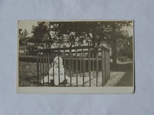 Barnsville Ohio Foto Real RPPC Bebé en Exterior Pluma Cuna Mensaje 1913 Hierro Fundido? - Imagen 1 de 2