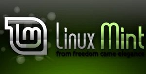 DellLatitude 7490 Laptop Linux Mint Quad Core 32GB 1TB SSD +++ 5 YEAR WARRANTY - Picture 1 of 11