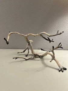Manzanita Wood, Burnt Driftwood, Reptile Tank Decor,  aquascape, Terrarium - Picture 1 of 4
