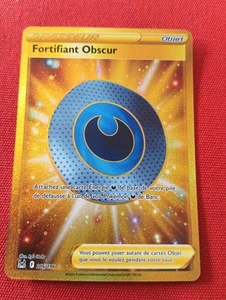 FORTIFIANT OBSCUR 216/196 DRESSEUR GOLD HOLO FULLART EB11 CARTE POKEMON FR RARE - Imagen 1 de 3