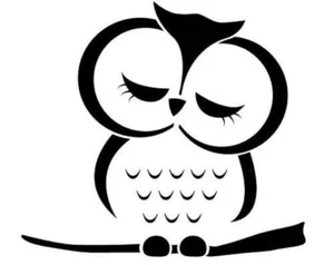 Owl White Vinyl Decal Sticker - Bild 1 von 1