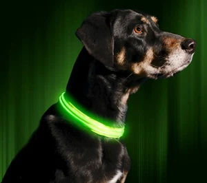 ILLUMINATED Green Dog Pet Pup Night Safety LEASH & COLLAR Set USB Rechargeable - Picture 1 of 6