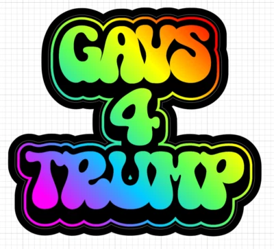 10x 6x 2x Gays para Trump Adesivos América Holográfico EUA Celular Laptop Skate 4 - Imagem 1 de 2