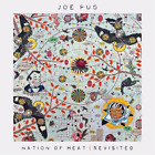 Joe Pug Nation of Heat: Revisited (CD) Album