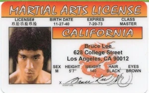 Bruce Lee Souviner Kampfsport Neuheit Lizenz KOSTENLOSER USA-VERSAND - Bild 1 von 1