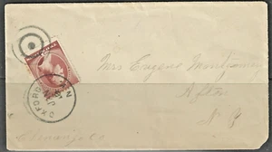 Historia de Nueva York: 1883 2c. Cubierta Washington roja marrón, Oxford a Afton, Chenango Cty. - Imagen 1 de 1