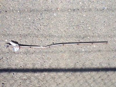 56 Cadillac 1956 sedán Deville lado del conductor moldura de puerta trasera Foto 1 de 4