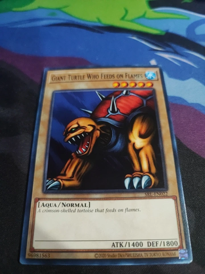 YuGiOh! - Giant Turtle Who Feeds on Flames SRL-EN022 Common 25th Anniversary NM - Image 1 of 1