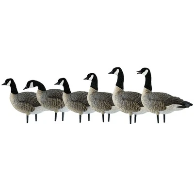 Avian X AXP Honkers Fusion Pack Lesser Canada Goose Decoys & Bag, Multi (Used) - Image 1 of 4