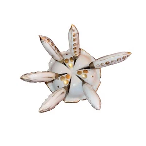 Goodfriend butter knives spreader set Made In Spain Gold And White Vintage - Picture 1 of 7