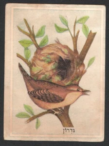 Wren card From Israeli Animals Cards Set, By Tamar 1960's judica - Picture 1 of 2
