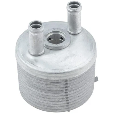 Radiatore olio motore scambiatore Seat Alhambra I 7V8 7V9 1.9 TDI 150cv TYG3 Foto 1 de 4