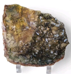 Moss Agate Slab 78.4 grams - Picture 1 of 2