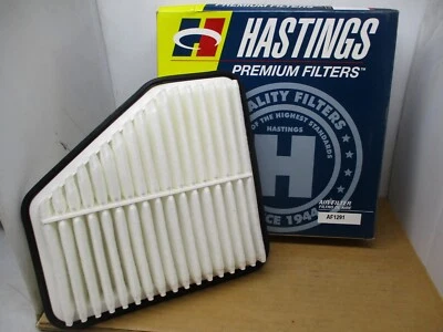 HASTINGS AF1291 air filter  (WIX 49172) Foto 1 de 3