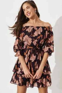 ST FROCK BNWT Chasing Kate Amorety Navy Blush Floral Chiffon Ruffle Dress-14 - Picture 1 of 10