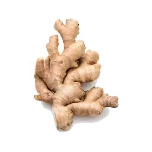 NEU Frische Ceylon WILD keine GVO Ingwerwurzel - 50g - Bild 1 von 4