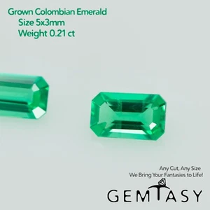 Cut stone - Emerald Colombian hydrothermal lab grown, Octagon 5x3mm 0.21ct - Picture 1 of 2