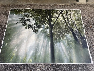 Vintage 1999 IKEA Nature Canvas Print - Image 1 of 4