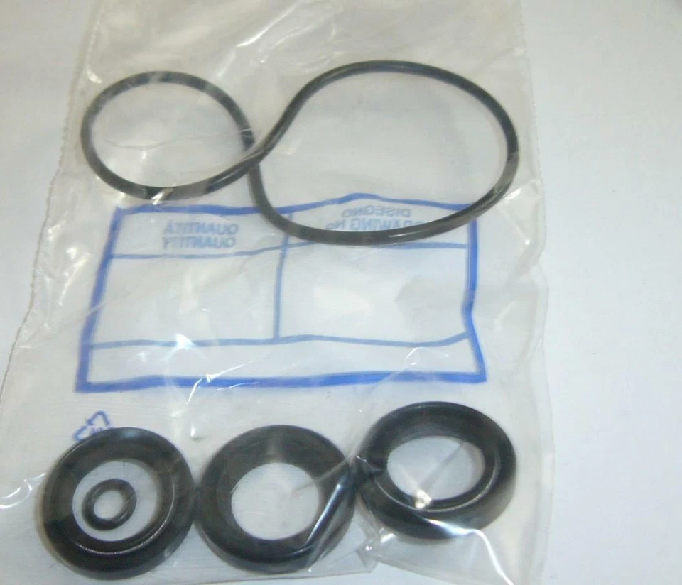 KIT TENUTE OLIO POMPA IDROPULITRICE ANNOVI REVERBERI 2511 737 747 ORIGINALE