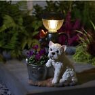 34cm Solar Powered Westie Dog LED Light Robin Bird Welcome Bucket Lantern 