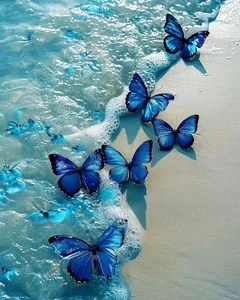 HSENJT Butterfly Diamond Art Painting Kits for Adults,Beach DIY 5D Diamond Ar - Picture 1 of 5