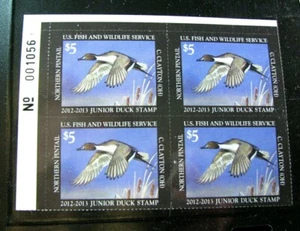Estampillas en bloque de placa de pato de Estados Unidos Scott# JDS20 Northern Pintail 2012 MNH L495  - Imagen 1 de 1