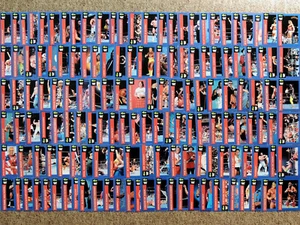 WWF CLASSIC WRESTLING SUPERSTARS 1991 TRADING CARDS BLUE BORDER WCW WWE - Picture 1 of 297