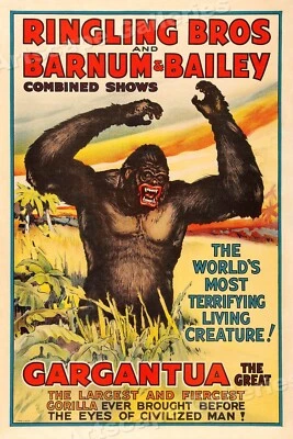 1930s Ringling and Barnum & Bailey - Terrifying Gorilla Circus Poster - 24x36 - Image 1 of 3