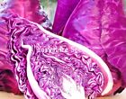Cabbage Red Drumhead 700 seeds Red Cabbage Vegetable Seeds - Free Delivery