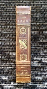 RARE VINTAGE 1916 En Flanant A Travers L'Alsace Strolling Through Alsace Hallays - Picture 1 of 11