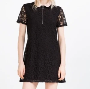 Zara Dress Women's Medium Peter Pan Collar Lace A Line LBD Babydoll Cocktail - Picture 1 of 15