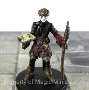 Monster Menagerie ~ HOMMET SHAW #22 Icons of the Realms D&D wizard necromancer - Picture 1 of 3