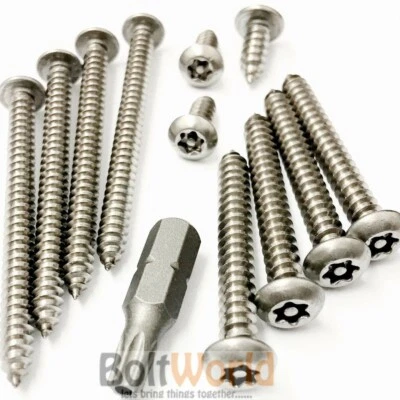 BOLT WORLD A2 STAINLESS STEEL TORX PIN 6 LOBE BUTTON HEAD SELF TAPPING SECURITY SCREWS BOLT