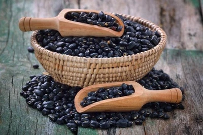 Black Bean Seeds | For Planting Mexican Frijoles Beans Black Turtle Seed 2025 - Image 1 of 4