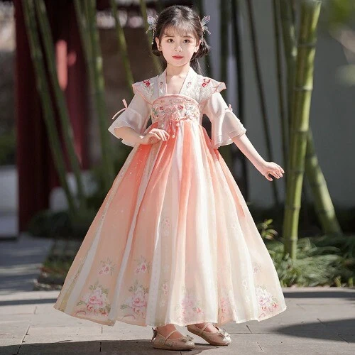 Hanfu Chinese Traditional Chiffon Dress for Girls Hanfu Flower Skirt Dress - Image 1 of 4