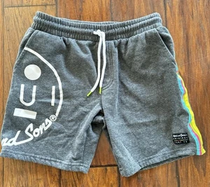 Maui and Sons Drawstring shorts Gray W/ multicolored stripes Men’s Sz S - Picture 1 of 5