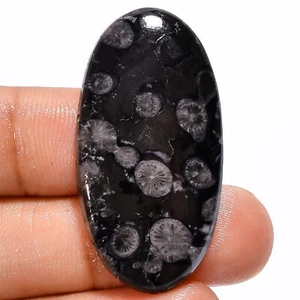 Natural Black Fossil Coral Oval Shape Cabochon Gemstone 34.5 Ct 38X19X4mm X-8481 - Picture 1 of 2