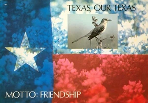 Texas Our Texas Motto Friendship 2US TX 564 4 1/8" x 5 7/8" circa 1970s - Picture 1 of 2