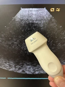 Transductor de ultrasonido Siemens Acuson 4V1C - Imagen 1 de 4