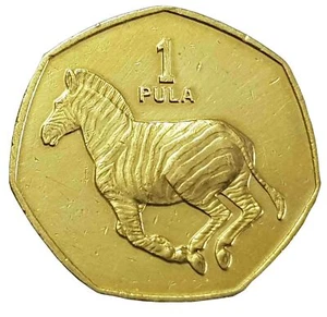 Batswana 1 Pula Coin | Zebra | 1991 - 2007 - Picture 1 of 8