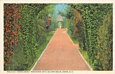 Aiken South Carolina SC~Walk at Hopelands-Oliver Iselin Residence~1920s Postcard - Image 1 of 2