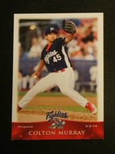 2014 Grandstand, Reading Fightins - COLTON MURRAY
