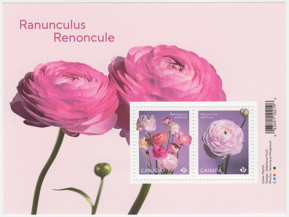 Canada - #3372 Ranunculus Souvenir Sheet (Flowers) - 2023 - MNH - Image 1 of 1