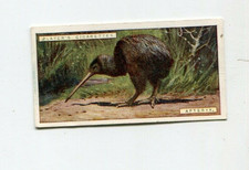1924 JOHN PLAYER & SONS NATURAL HISTORY CIGARETTE CARD #6 APTERYX OR KIWI