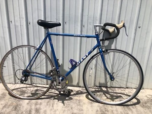 Vintage Giant Perigee Road Bike- 58cm- Cro-Mo- Shimano- 14 Speed 700c - Picture 1 of 22
