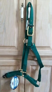 WEAVER HUNTER CAVALLO VERDE NYLON FIBBIA SUPPORTO media non regolabile - Foto 1 di 2