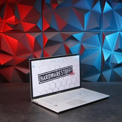 Asus VivoBook 17 // AMD Ryzen 7 3700U, 8 GB RAM, 256 GB SSD + 1 TB HDD - Bild 1 von 4